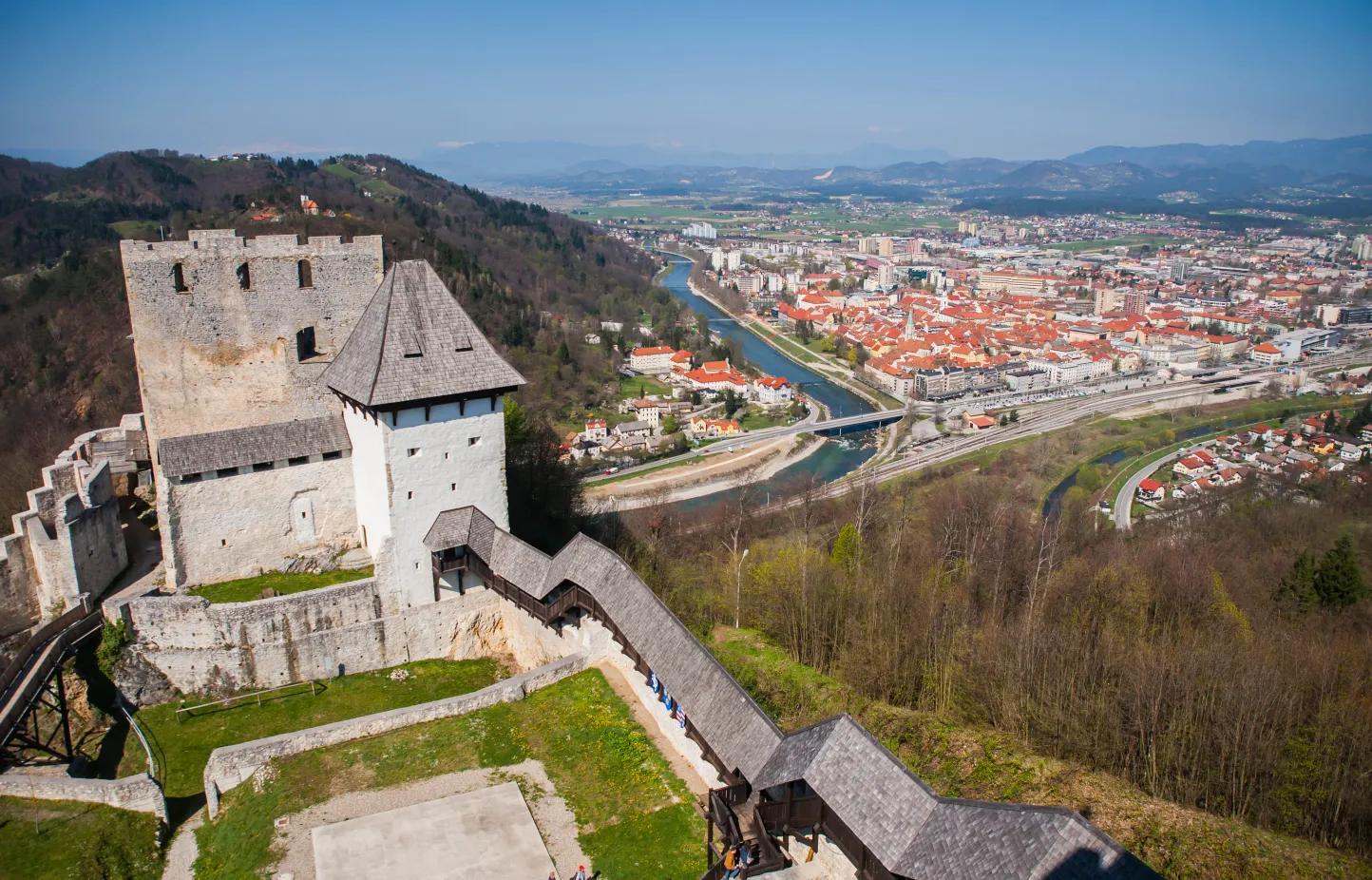 Agenti Celje